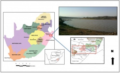 Figure 1. UThukela basin area of study; Southern Africa map; lower UThukela River photograph, west of Kranskop Bridge, INkandla district (taken by B. Nxumalo 2012); and the Nongoma Mona market indicated by a red square (after Fowler 2008).